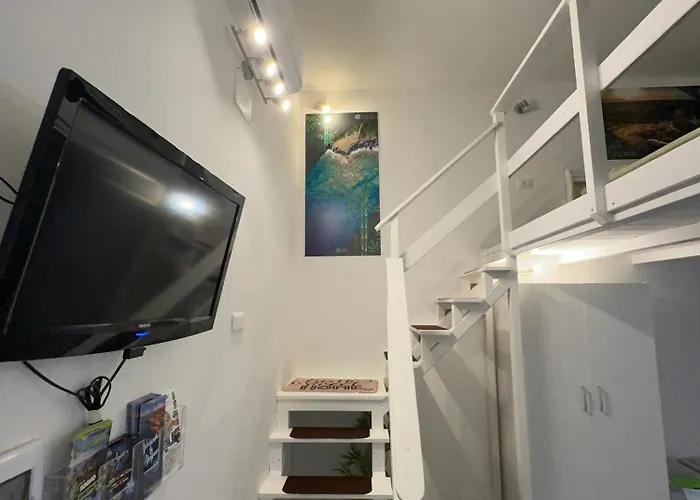 Pensión Lime - Bamboo 3*